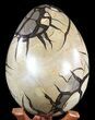 Septarian Dragon Egg Geode - Black Crystals #55490-3